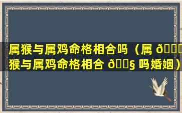 属猴与属鸡命格相合吗（属 🐒 猴与属鸡命格相合 🐧 吗婚姻）